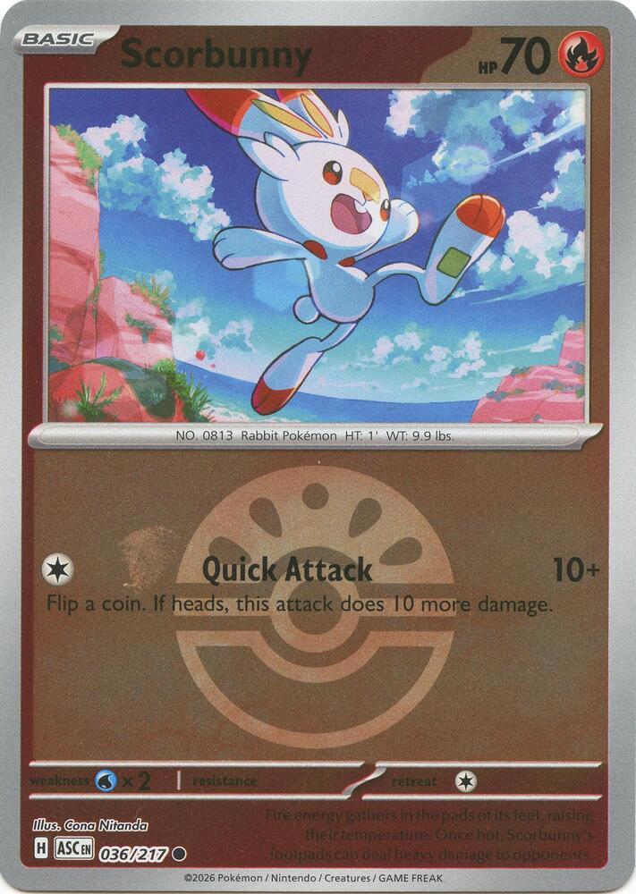 Scorbunny [Ball]