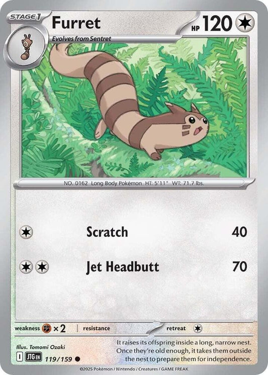 Furret [Reverse Holo]