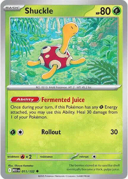 Shuckle [Reverse Holo]